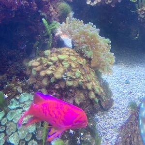 Meet your Posher, Bri